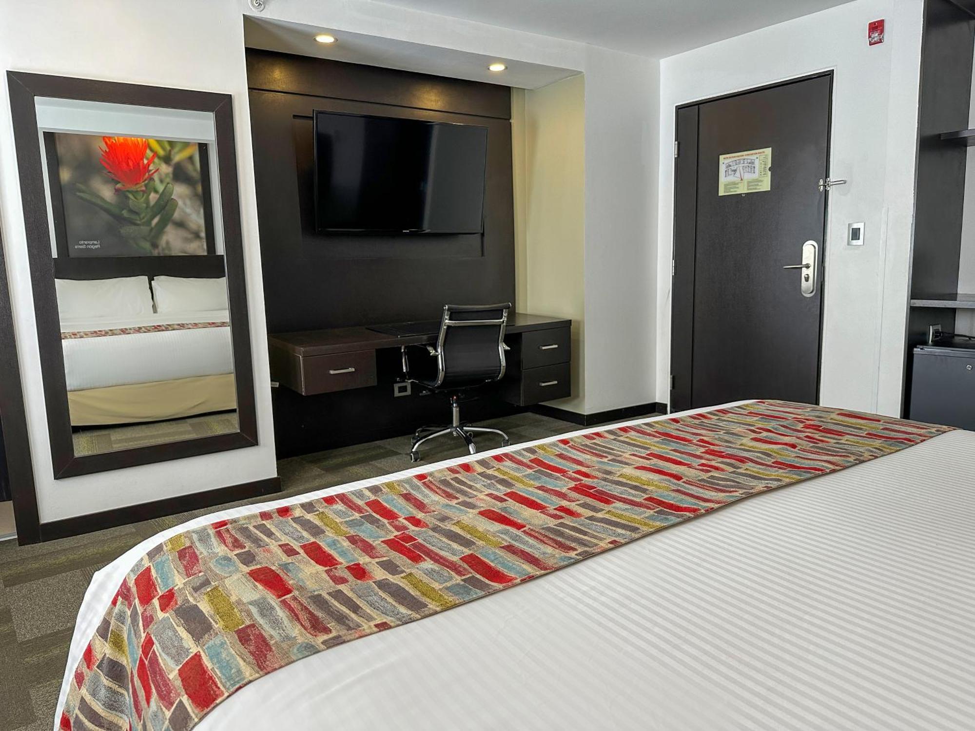 Wyndham Quito Airport Hotel Puembo Exterior photo A typical room at the hotel